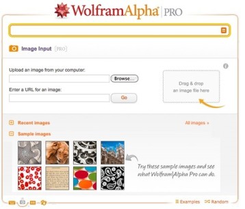 wolfram-alpha-pro (1)